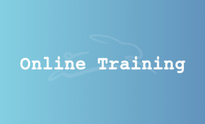 stefan-haeseli-online-training